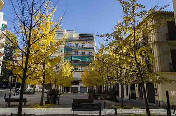 Granada 163 - plaza Campillo Bajo.jpg